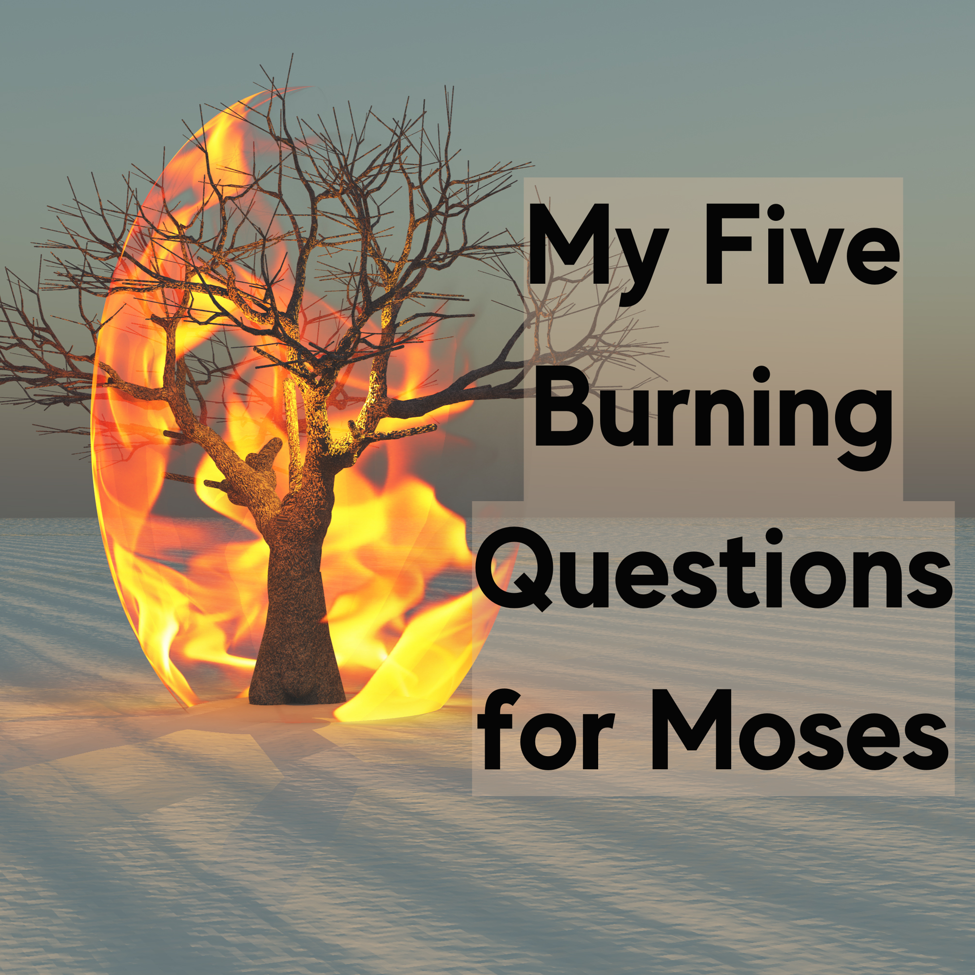 My Five Burning Questions for Moses