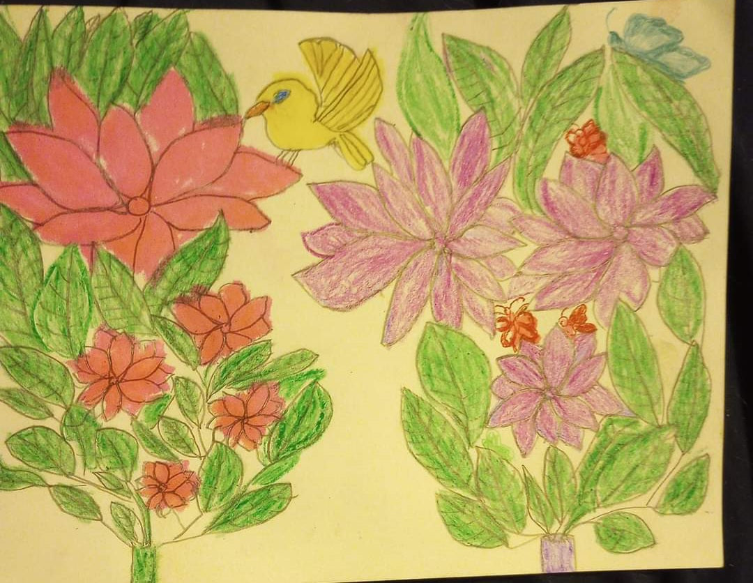 Lola's Doodles