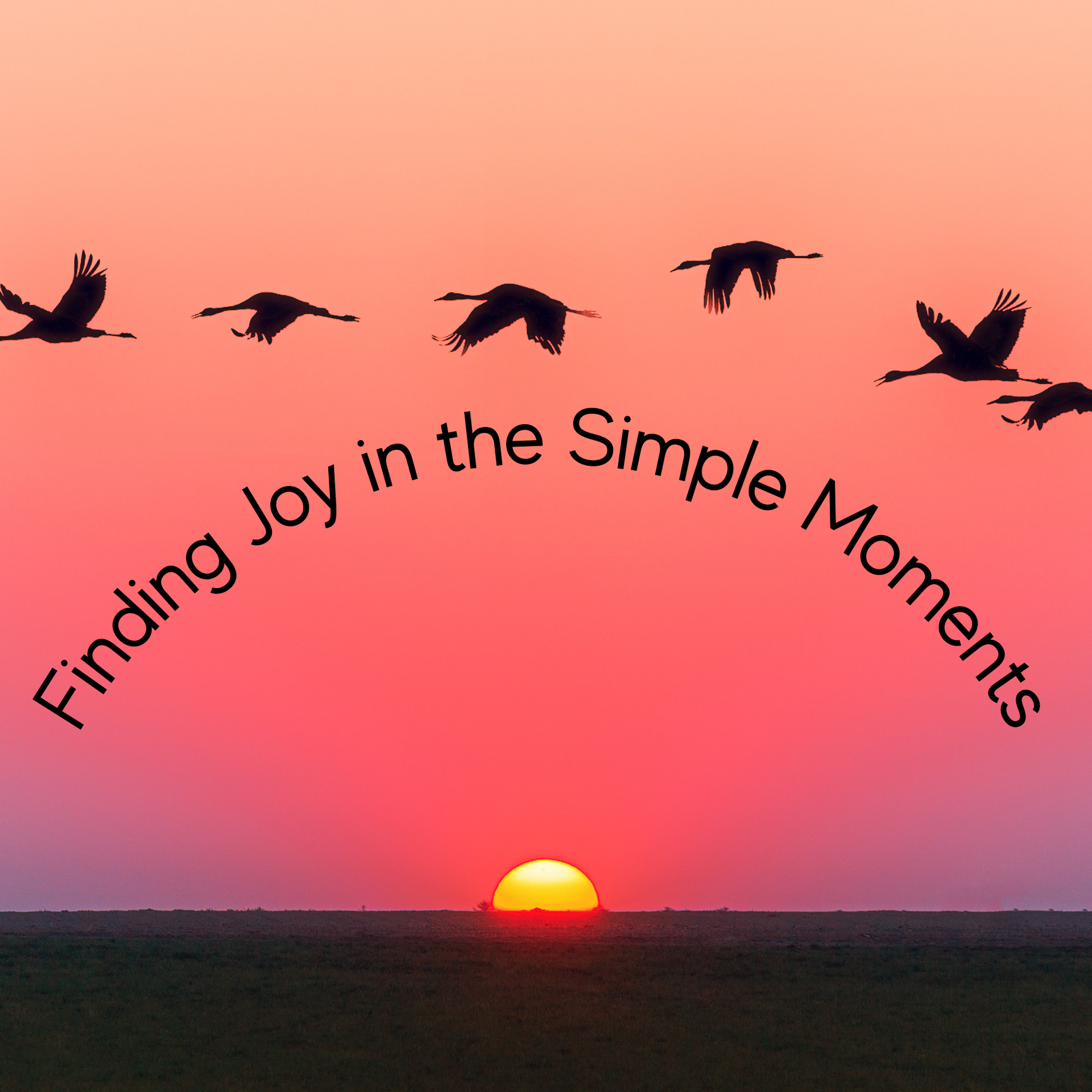 Finding Joy in the Simple Moments